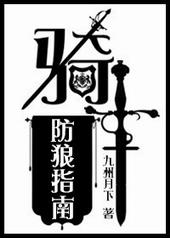 骑士防狼指南[西幻]小说封面
