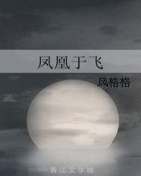凤凰于飞小说封面