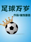足球万岁小说封面
