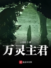 蒋经国传写了什么