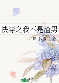 结衣波多野种子