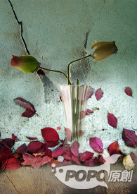 警告标记无效笔趣阁