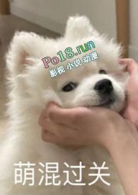 带球跑后前夫要和我复婚